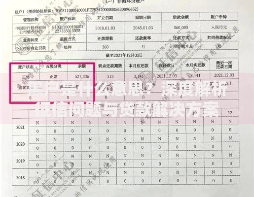 黑户是什么意思？深度解析征信问题与贷款解决方案