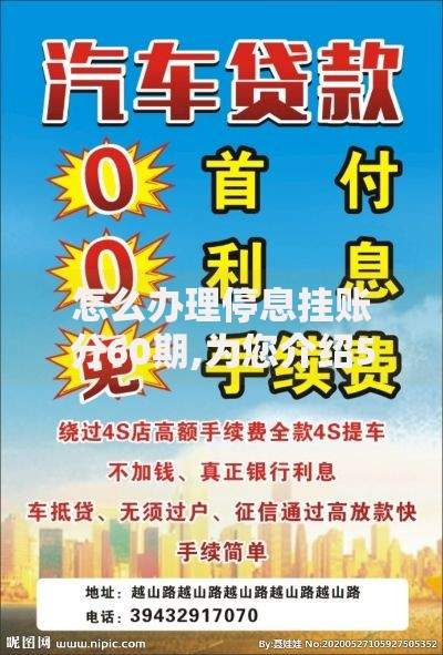 怎么办理停息挂账分60期,为您介绍5款按揭车贷款平台