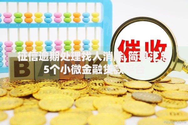 征信逾期处理找人消除,简单汇总5个小微金融贷款平台