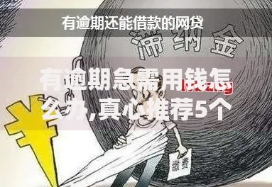 有逾期急需用钱怎么办,真心推荐5个满18就可以贷款的平台
