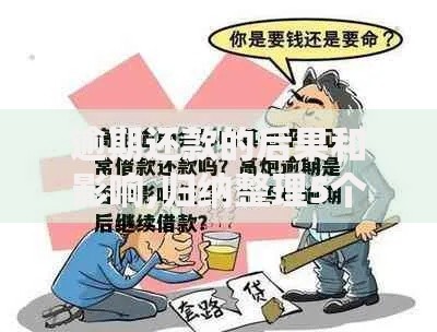 逾期还款的后果和影响,归纳整理5个高额贷款平台