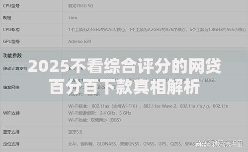 2025不看综合评分的网贷百分百下款真相解析