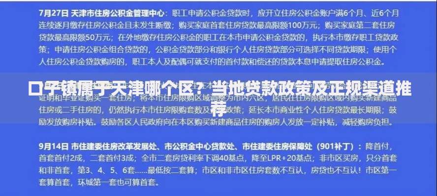 口子镇属于天津哪个区？当地贷款政策及正规渠道推荐