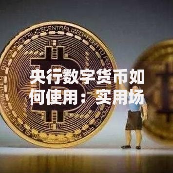 央行数字货币如何使用：实用场景与操作指南