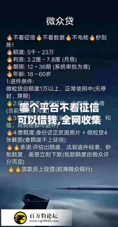 哪个平台不看征信可以借钱,全网收集5个贷款平台靠谱