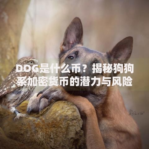 DOG是什么币？揭秘狗狗系加密货币的潜力与风险