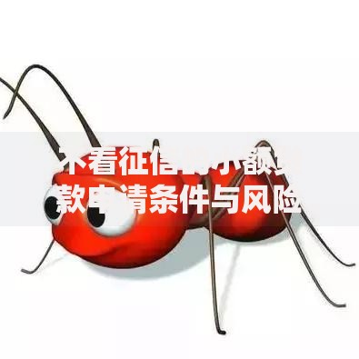 不看征信的小额贷款申请条件与风险解析