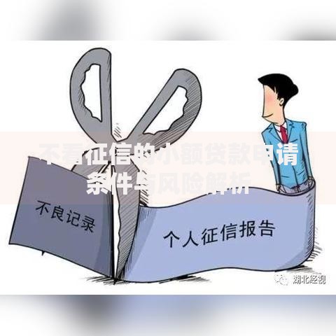 不看征信的小额贷款申请条件与风险解析