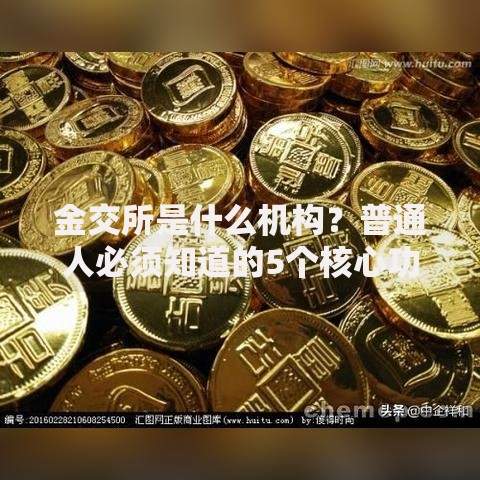 金交所是什么机构？普通人必须知道的5个核心功能解析