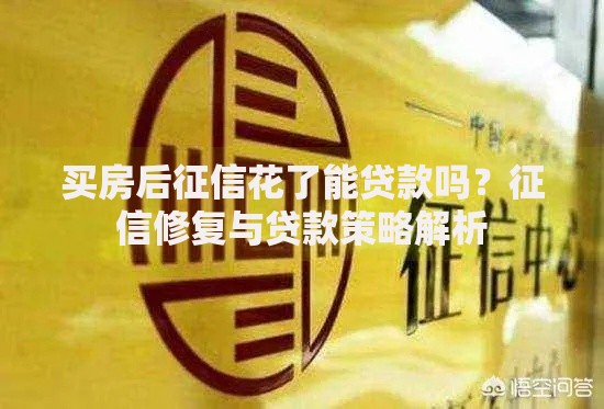买房后征信花了能贷款吗？征信修复与贷款策略解析