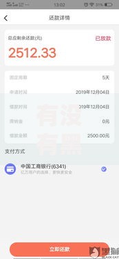 有没有黑网贷秒下款的,归纳整理5个17岁贷款平台秒到账