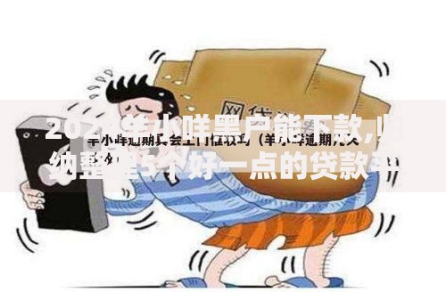 2024羊小咩黑户能下款,归纳整理5个好一点的贷款平台