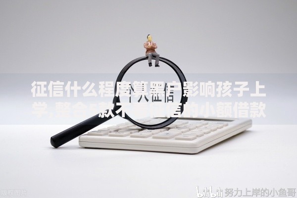 征信什么程度算黑户影响孩子上学,整合5款不看征信的小额借款平台