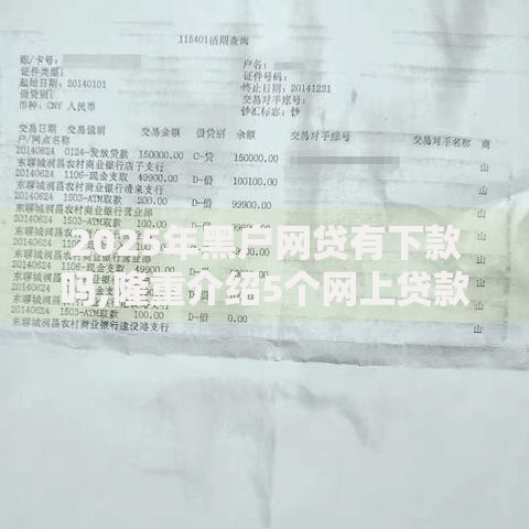 2025年黑户网贷有下款吗,隆重介绍5个网上贷款平台排行榜