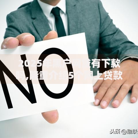 2025年黑户网贷有下款吗,隆重介绍5个网上贷款平台排行榜