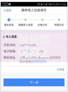 税贷如何网上申请？手把手教你轻松搞定全流程