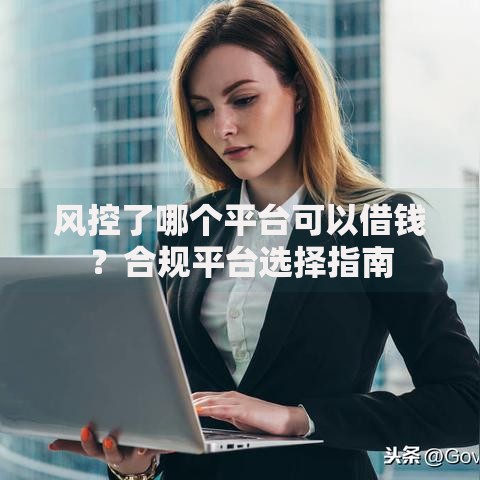 风控了哪个平台可以借钱？合规平台选择指南
