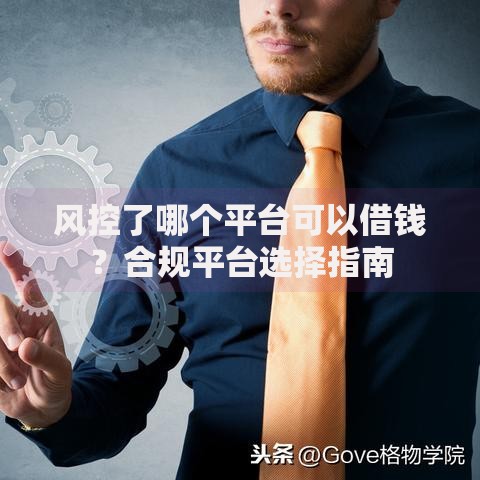 风控了哪个平台可以借钱？合规平台选择指南