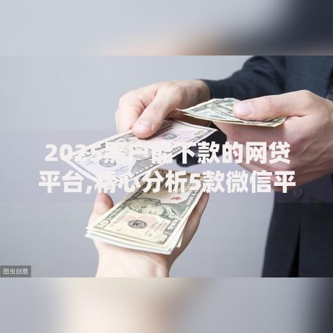 2025黑户能下款的网贷平台,精心分析5款微信平台可以借钱吗