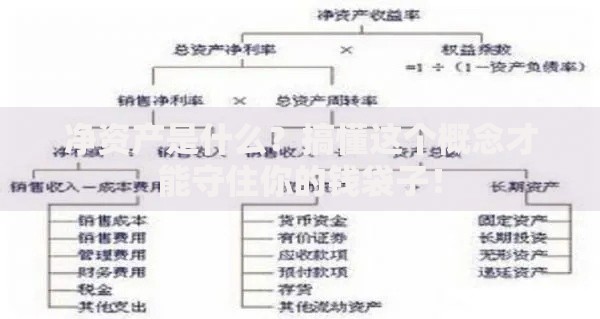 净资产是什么？搞懂这个概念才能守住你的钱袋子！