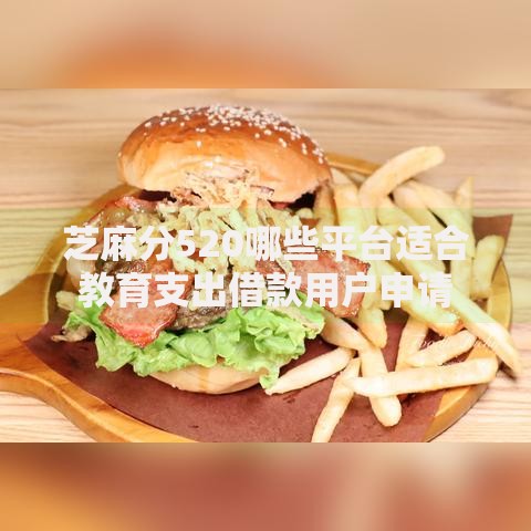 芝麻分520哪些平台适合教育支出借款用户申请