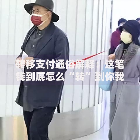 转移支付通俗解释：这笔钱到底怎么“转”到你我手里？