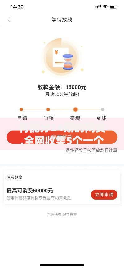 有能分24期的网贷,全网收集5个一个月口子百分百下款的平台
