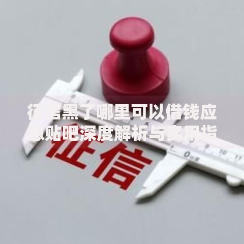 征信黑了哪里可以借钱应急贴吧深度解析与实用指南