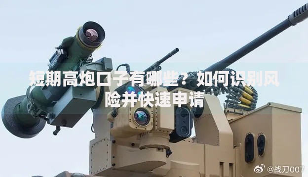短期高炮口子有哪些？如何识别风险并快速申请