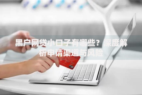 黑户网贷小口子有哪些?深度解析申请渠道与风险 黑户网贷小口子有哪些?深度解析申请渠道与风险
