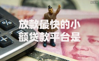 放款最快的小额贷款平台是哪个,真心推荐5个黑户轻松下款的口子