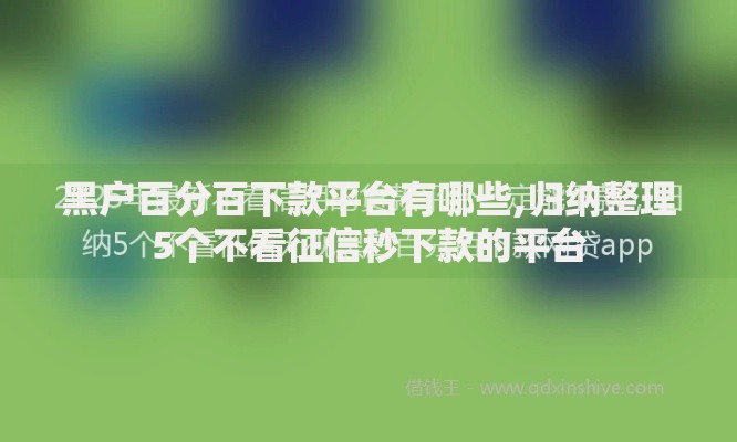 黑户百分百下款平台有哪些,归纳整理5个不看征信秒下款的平台