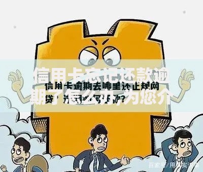 信用卡忘记还款逾期了怎么办,为您介绍5款哪些是正规网贷平台