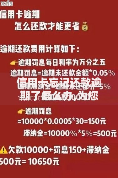 信用卡忘记还款逾期了怎么办,为您介绍5款哪些是正规网贷平台