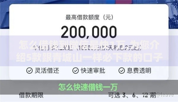 怎么借钱到微信最快1万,为您介绍5款跟青城山一样必下款的口子