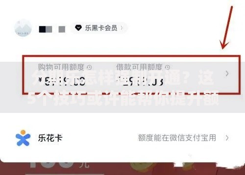 分期乐怎样强制开通？这5个技巧或许能帮你提升额度