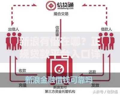 新浪有借在哪？正规贷款平台入口详解及使用指南