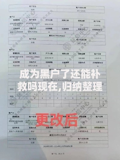 成为黑户了还能补救吗现在,归纳整理5个征信太花了也能借钱的平台