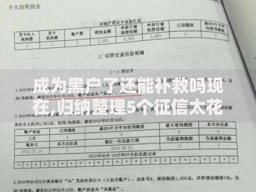 成为黑户了还能补救吗现在,归纳整理5个征信太花了也能借钱的平台