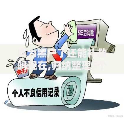 成为黑户了还能补救吗现在,归纳整理5个征信太花了也能借钱的平台