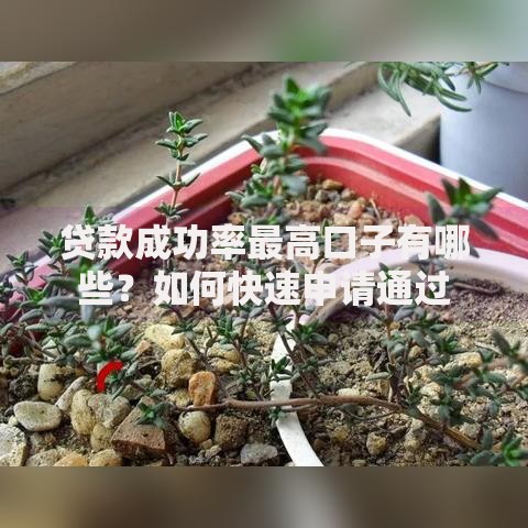 贷款成功率最高口子有哪些？如何快速申请通过