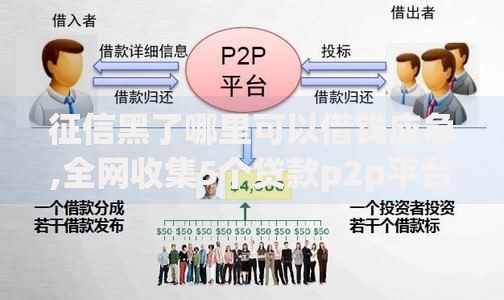 征信黑了哪里可以借钱应急,全网收集5个贷款p2p平台