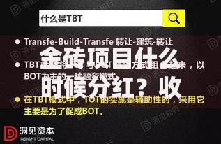 金砖项目什么时候分红？收益发放时间与分红逻辑深度解析