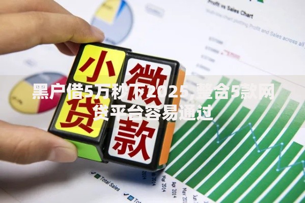 黑户借5万秒下2025,整合5款网贷平台容易通过