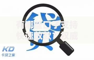 有哪些口子支持快速放款？权威解析助你快速获资