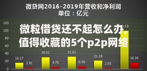 微粒借贷还不起怎么办,值得收藏的5个p2p网络贷款平台