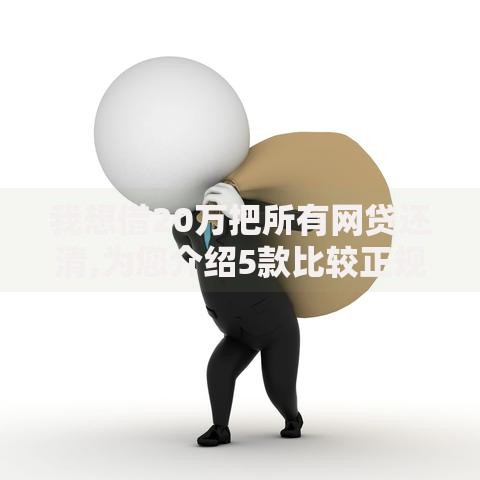 我想借20万把所有网贷还清,为您介绍5款比较正规的网贷平台