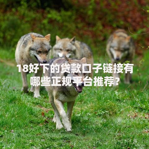 18好下的贷款口子链接有哪些正规平台推荐？