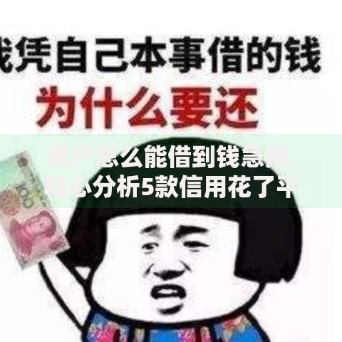 黑户怎么能借到钱急用,精心分析5款信用花了平台能借到钱