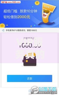VIP服务真的能让贷款下款更快吗？深度解析贷款VIP服务流程
